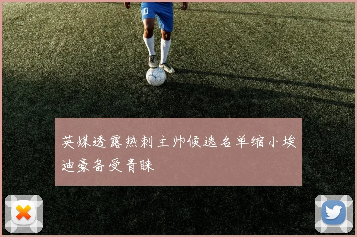 英媒透露热刺主帅候选名单缩小埃迪豪备受青睐